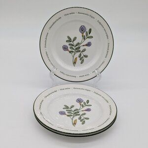 Johnson Brothers Bros Wild Flowers Three Bread Butter Plates Some Scuffing Green